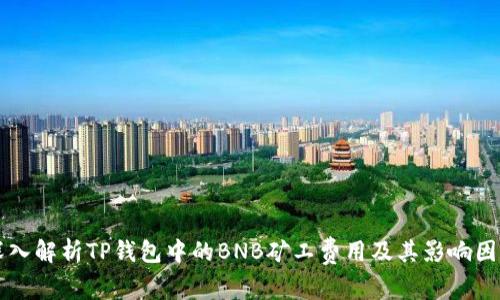 深入解析TP钱包中的BNB矿工费用及其影响因素