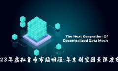 2023年虚拟货币市场回顾：