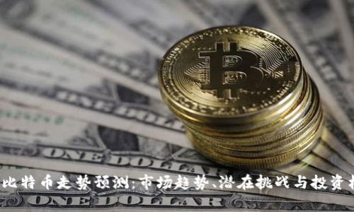 2024年比特币走势预测：市场趋势、潜在挑战与投资机会分析