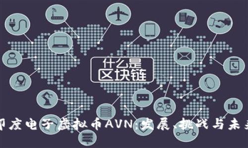 揭示印度电子虚拟币AVN：发展、挑战与未来趋势