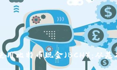 如何在TP钱包中安全管理和使用比特币现金（BCH）：从基础设置到进阶操作的全面指南