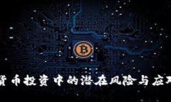 虚拟货币投资中的潜在风险与应对策略