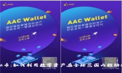 探秘神奇水虚拟币：如何利用数字资产在全球范