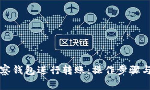 如何使用TP观察钱包进行转账：操作步骤与注意事项详解