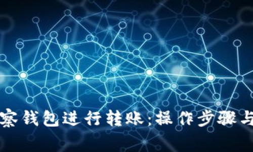 如何使用TP观察钱包进行转账：操作步骤与注意事项详解