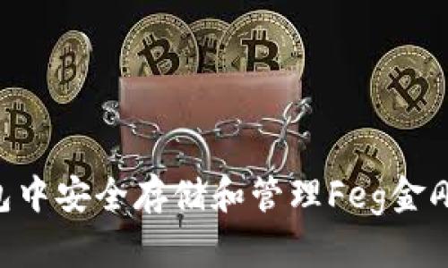 如何在TP钱包中安全存储和管理Feg金刚币：详细指南