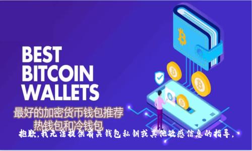 抱歉，我无法提供有关钱包私钥或其他敏感信息的指导。