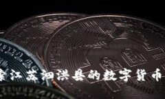 泗洪虚拟币：探索江苏泗洪县的数字货币生态与